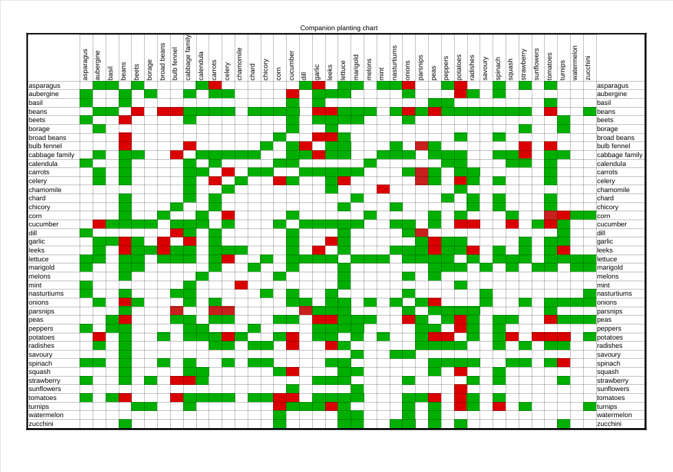 companion planting chart