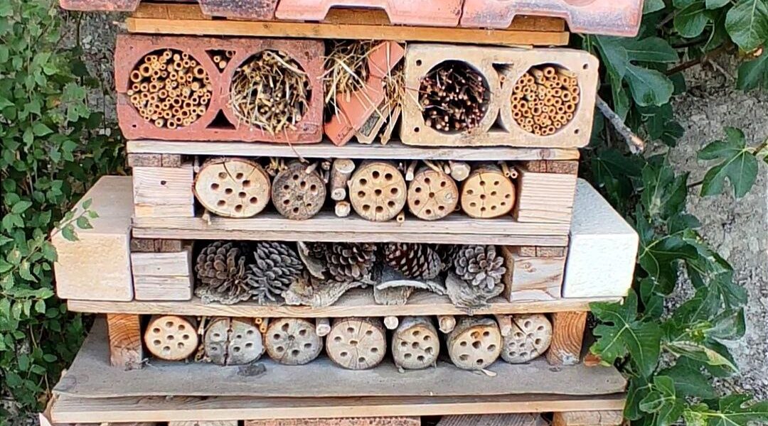 Build an easy bug and bee hotel for your garden