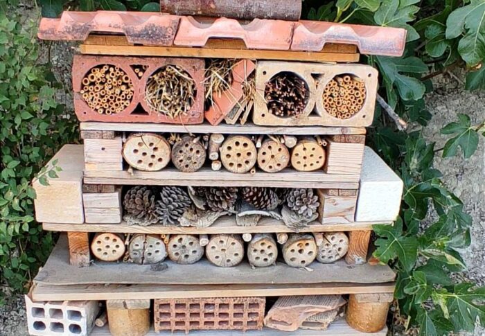 Build an easy bug and bee hotel for your garden